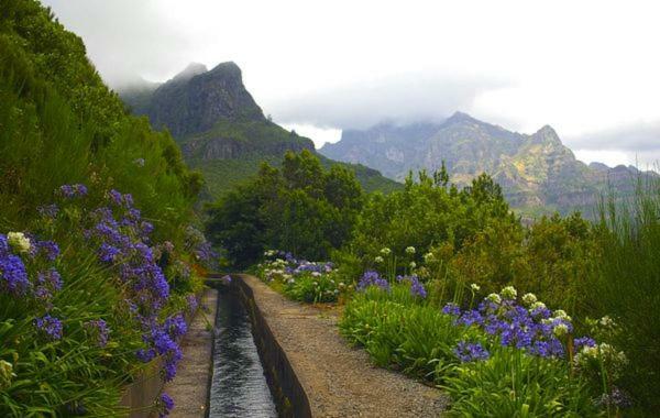 Machico Nature Екстериор снимка